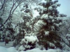 Рената Вадимовна Мухамедьярова