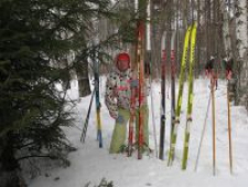 Светлана Сергеевна Котова