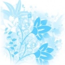 Васина Светлана Владимировна