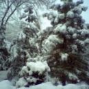 Мухамедьярова Рената Вадимовна