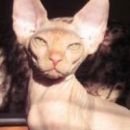 Осипчук Роман Иванович