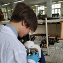 Минников Ярослав Вадимович