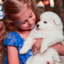 Кошелева Ксения Антоновна